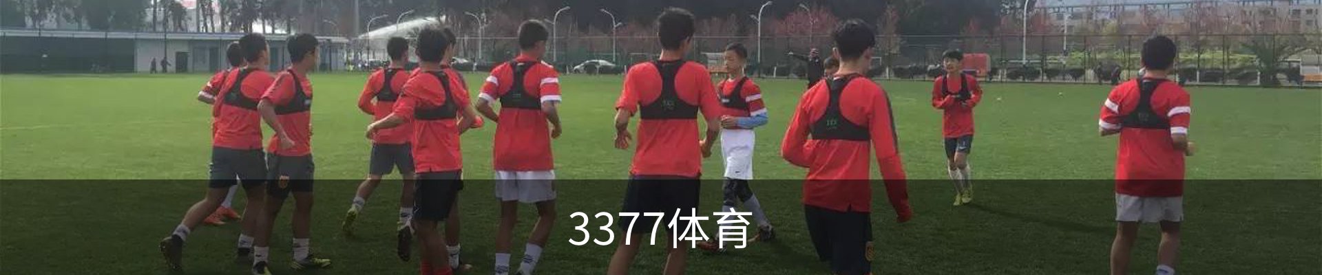3377体育-专业体育数据服务平台